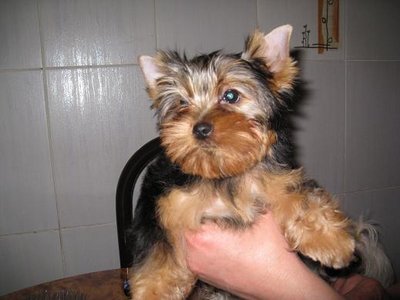Копия IMG_3474.JPG