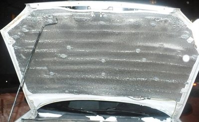 P1080581_1.JPG