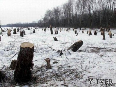 чл.jpg