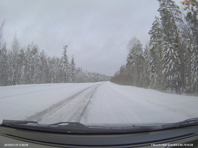 в лесах Демьянки