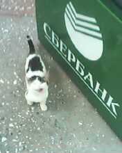 IMG1825A.jpg
