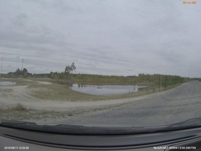 на выезде из Первомайского попадаешь в д.Бегитино, там пруд небольшой - обычно летом гусей в нём видимо-невидимо, сейчас нет никого