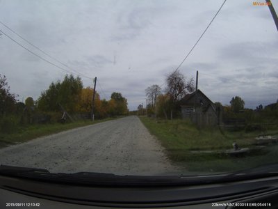 п.Первомайский - старый друг, каждый раз вижу этого кота здесь