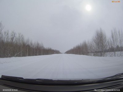автодорога Тобольск-Байгара-Курья  100й км